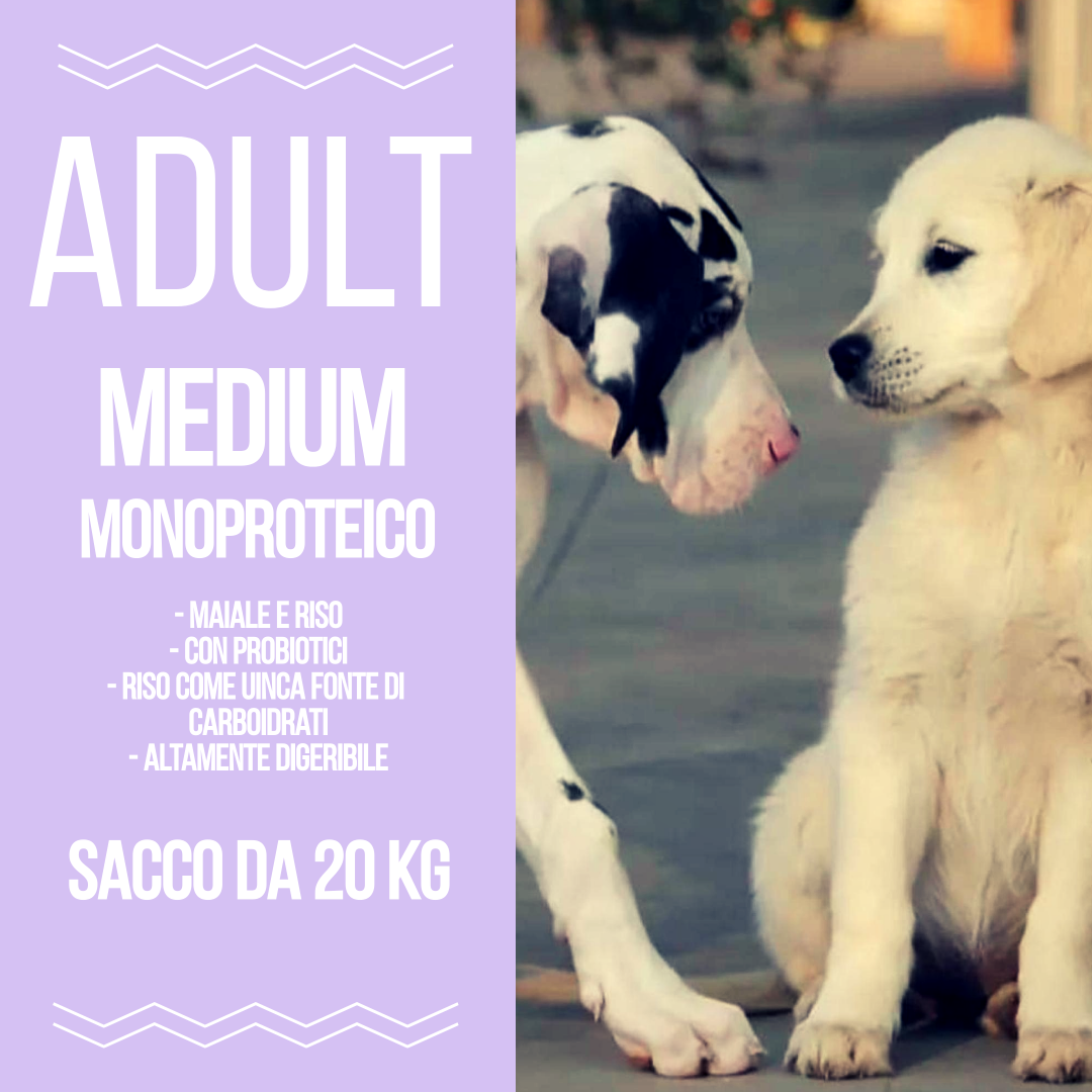 Adult - Monoproteico - Alani e Golden Retriever