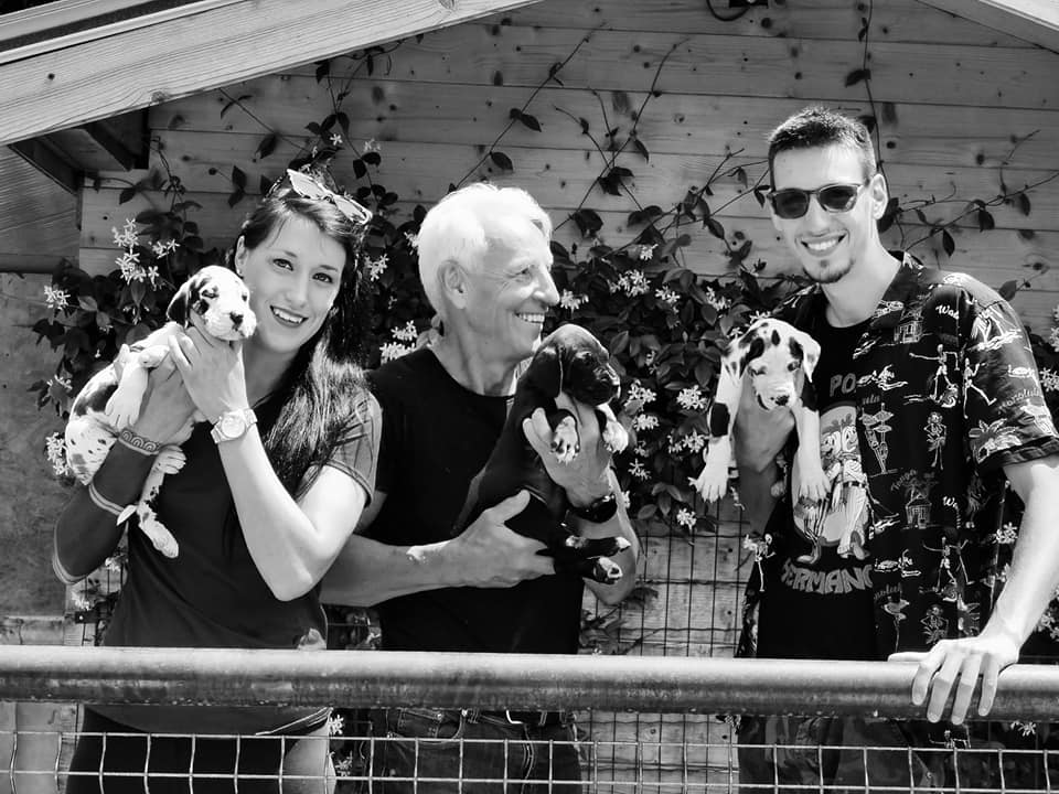 Cosa devo comprare quando porto a casa un cucciolo di Alano?