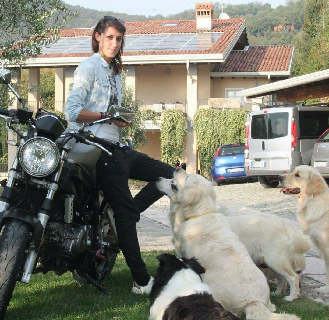 Perchè consigliamo il collare e NON la pettorina?