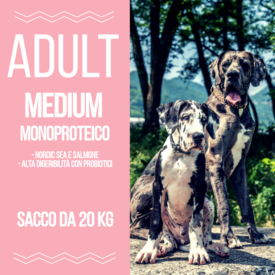 Adult Nordic Sea - Monoproteico - Alani