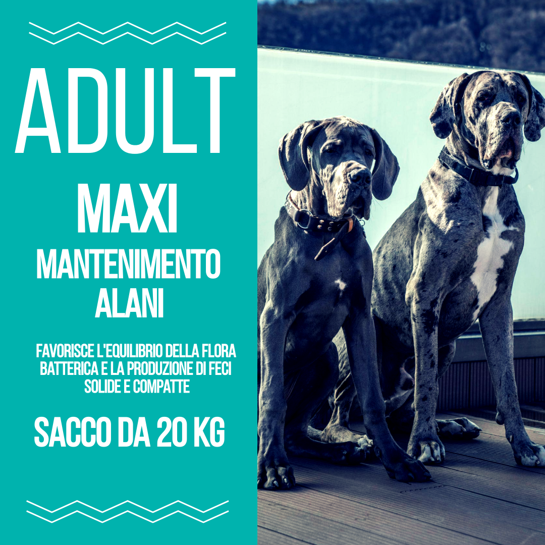 Adult - Mantenimento - Alani
